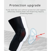 Scea3095b1098493eb297078b58c0fbcdw