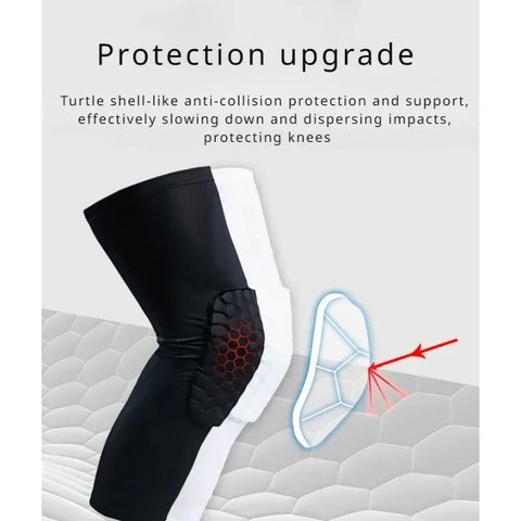 Scea3095b1098493eb297078b58c0fbcdw